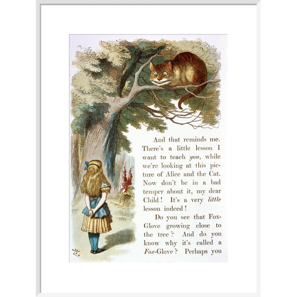 Alice and the Cheshire Cat print in white frame