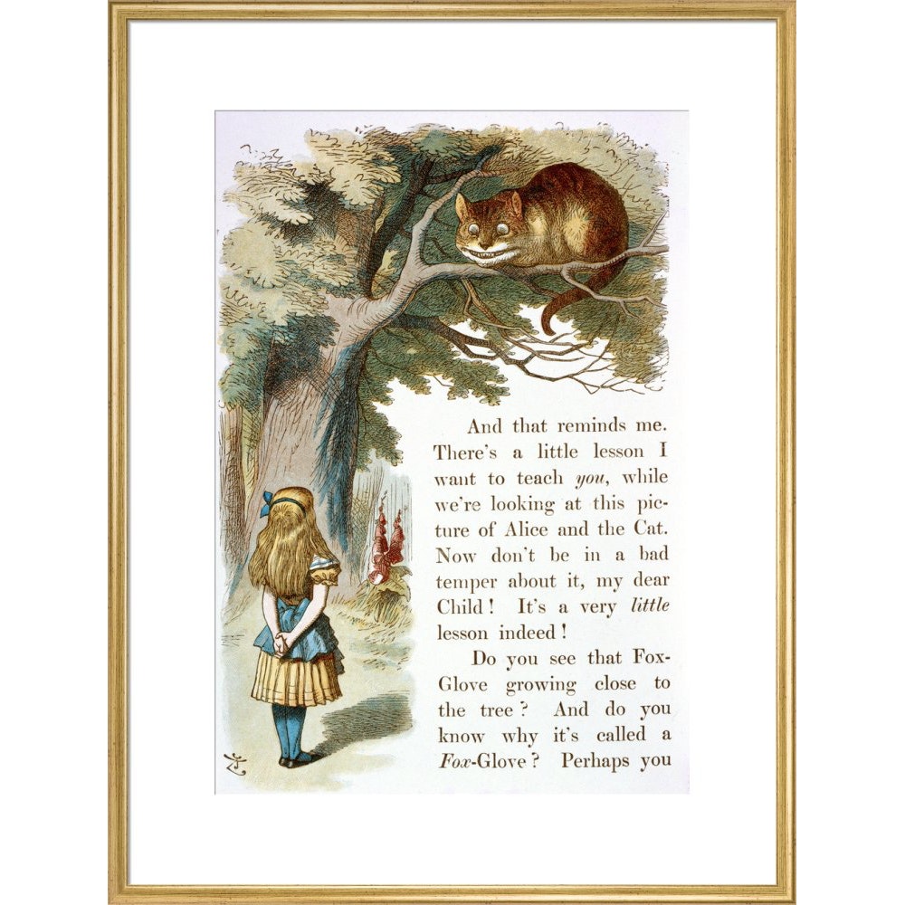 Alice and the Cheshire Cat print in gold frame