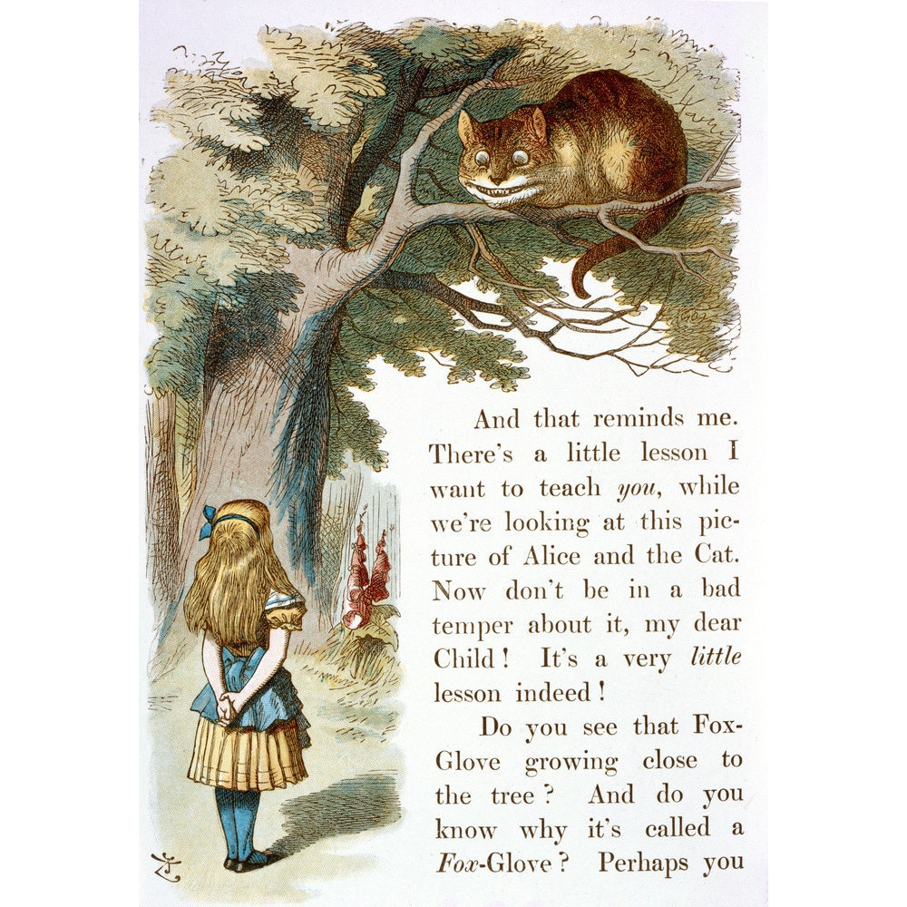 Alice and the Cheshire Cat print