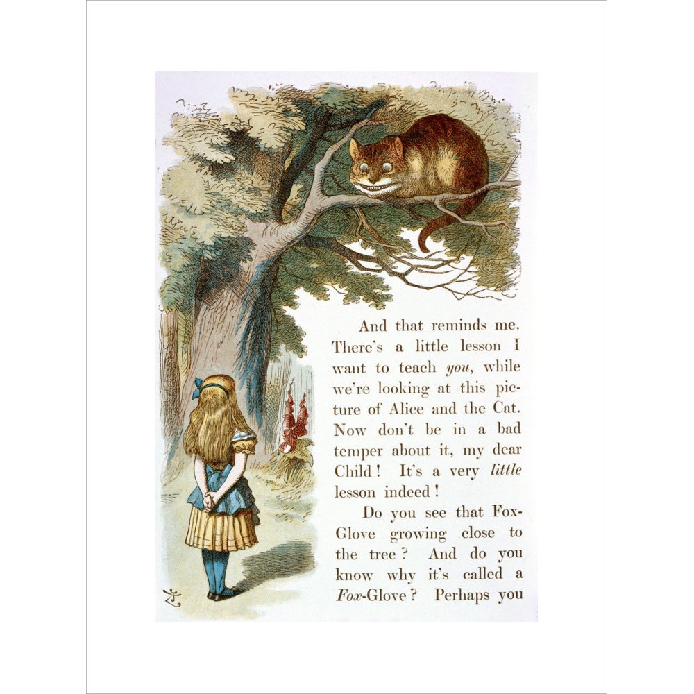 Alice and the Cheshire Cat print unframed