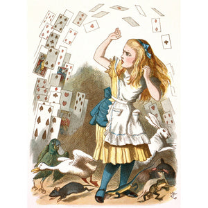 The shower of cards print