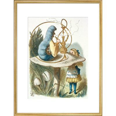 Alice meets the blue caterpillar print in gold frame