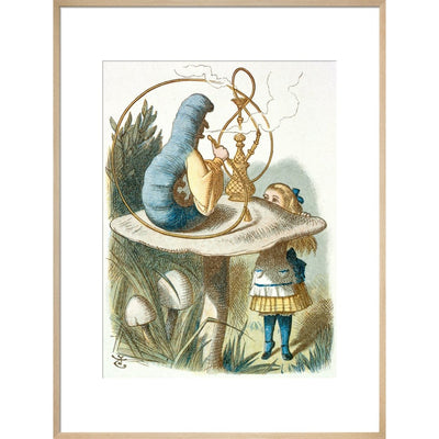 Alice meets the blue caterpillar print in natural frame