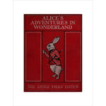 Alice in Wonderland book cover print