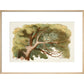 Cheshire Cat print in natural frame