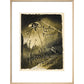 The Martians Arrive print in natural frame