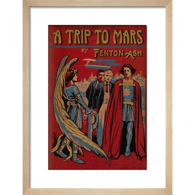 A Trip to Mars print in natural frame