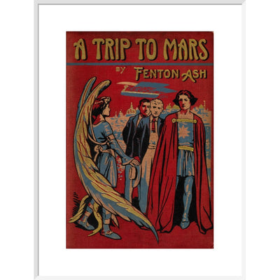 A Trip to Mars print in white frame