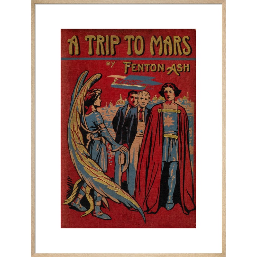 A Trip to Mars print in natural frame