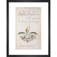 Tales of Terror print in black frame