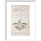 Tales of Terror print in white frame