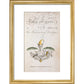 Tales of Terror print in gold frame