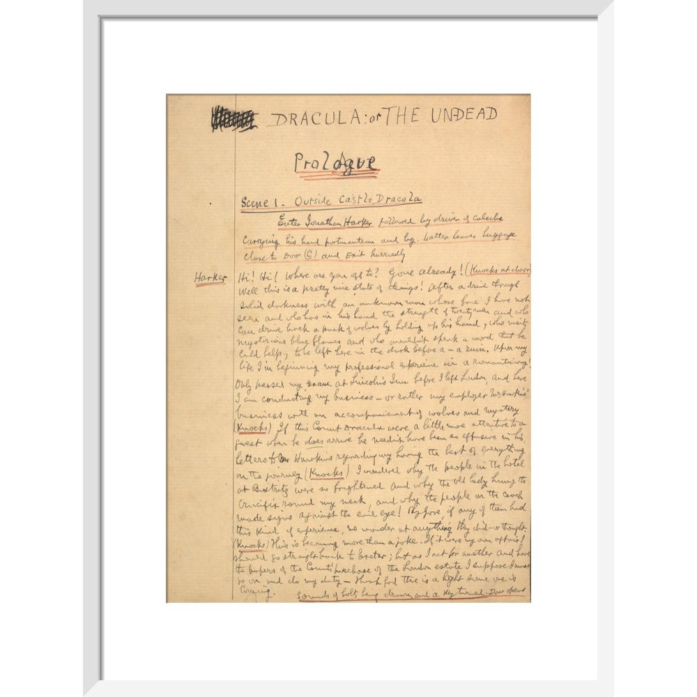Dracula manuscript print in white frame