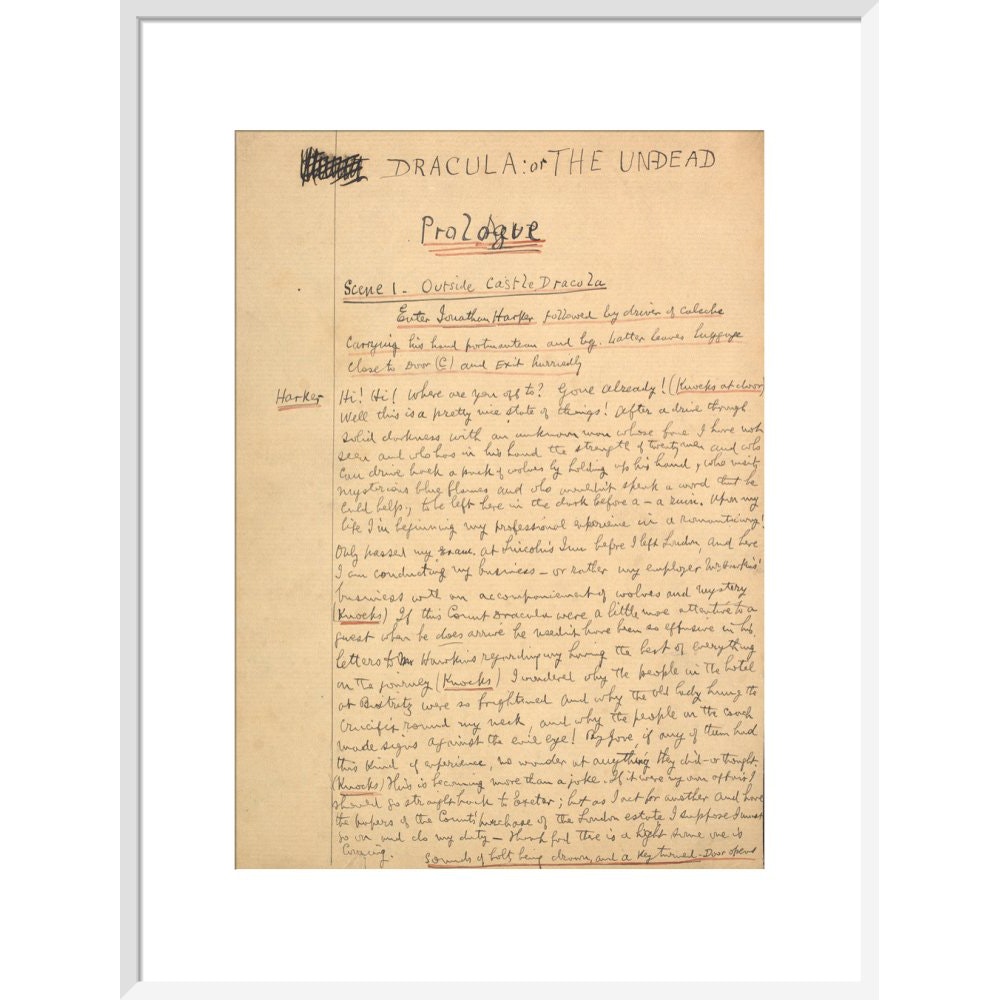 Dracula manuscript print in white frame