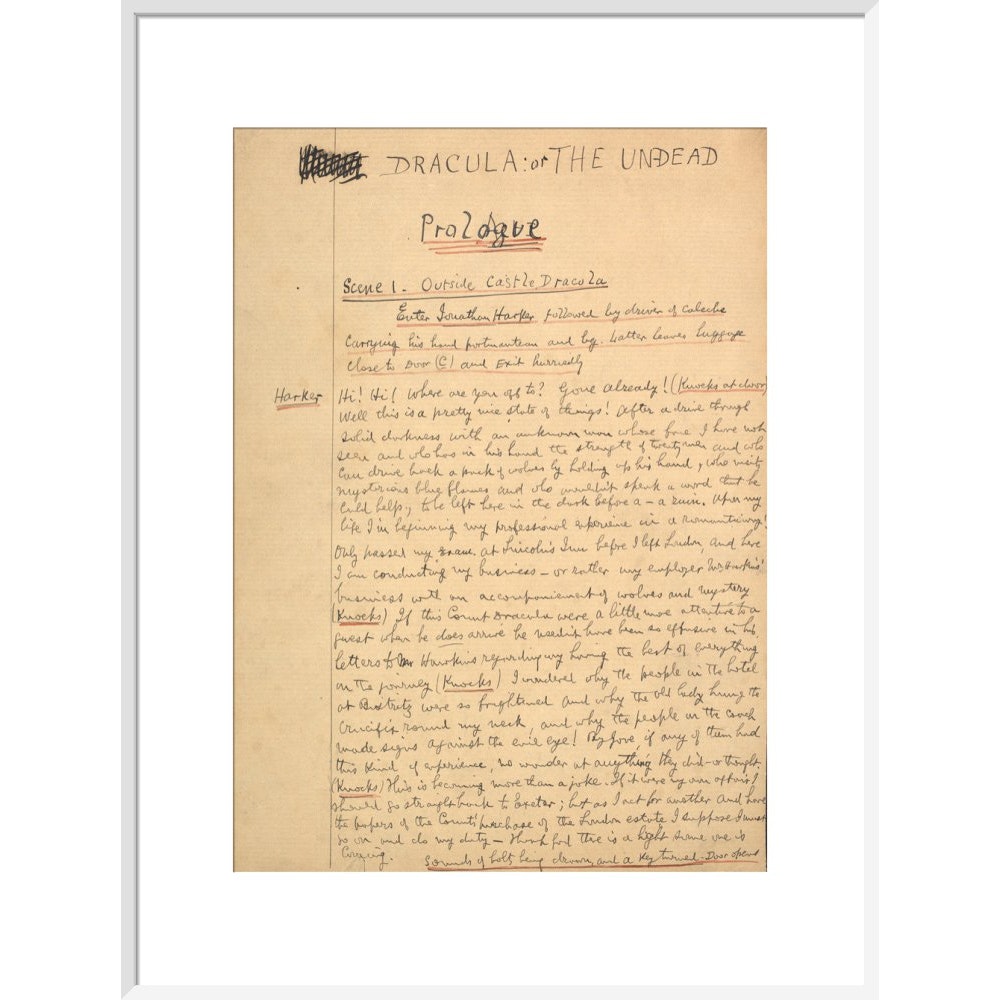 Dracula manuscript print in white frame