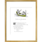 The Owl and the Pussycat print in gold frame