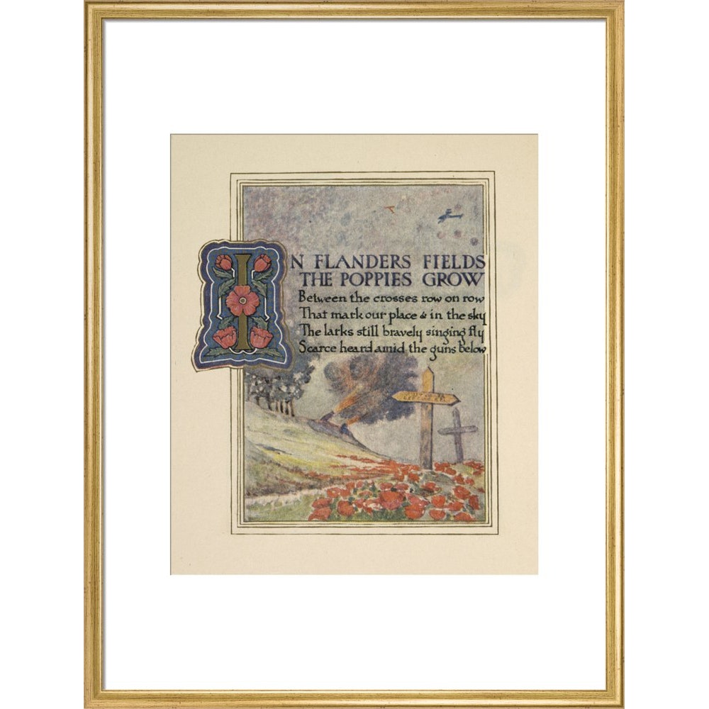 In Flanders fields print in gold frame