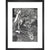 Morella print in black frame
