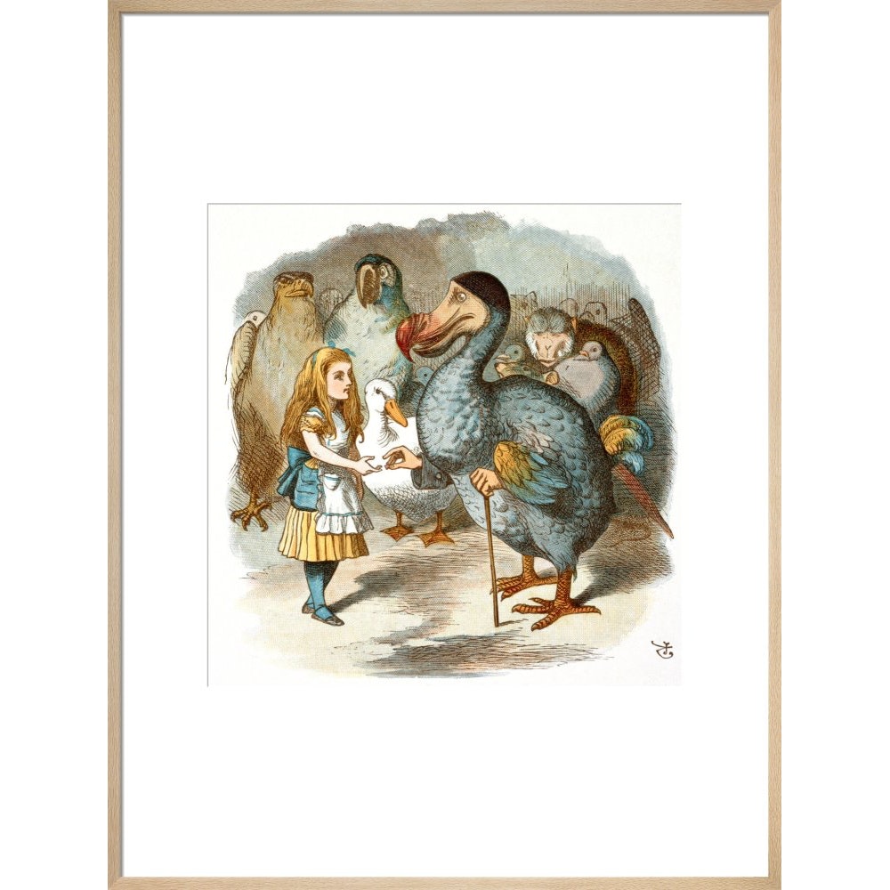 The Caucus-Race print in natural frame