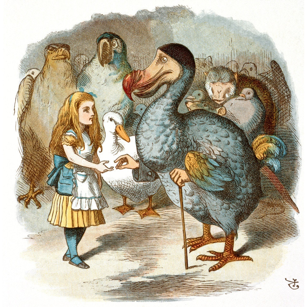 The Caucus-Race print