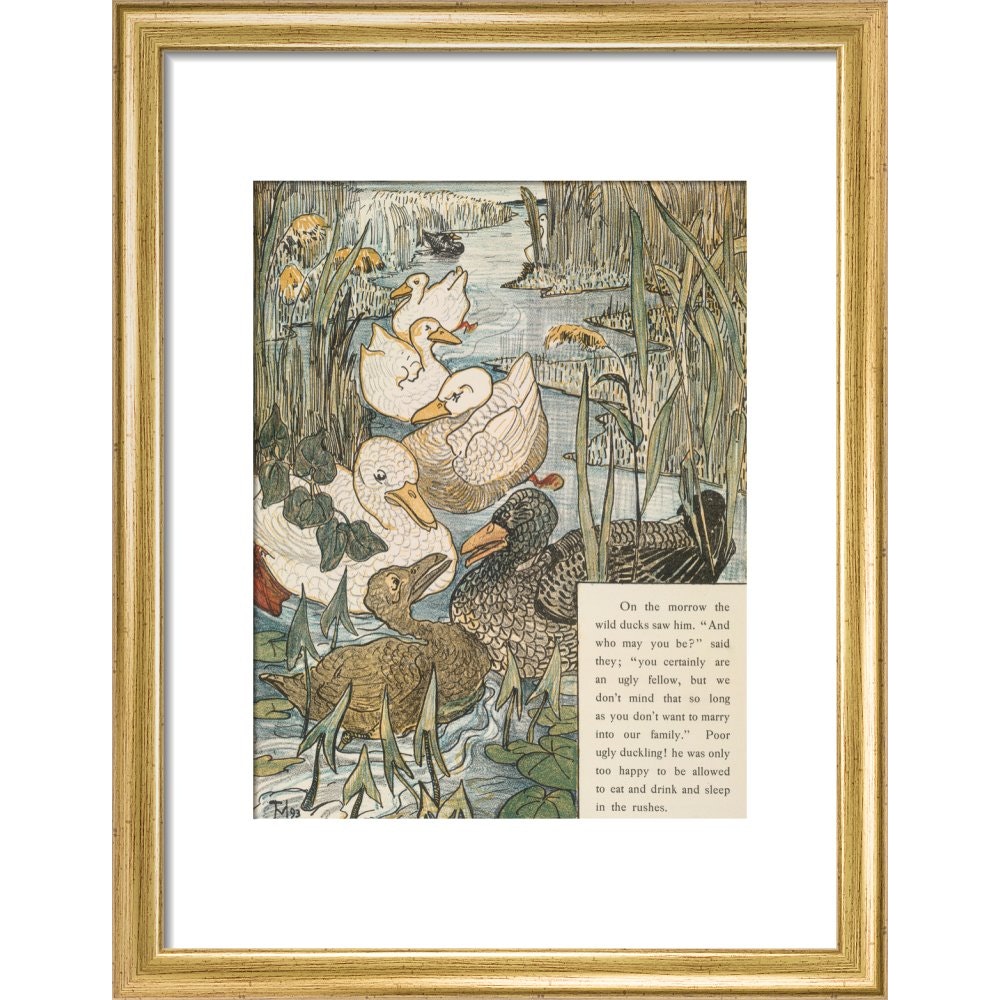 The Ugly Duckling print in gold frame