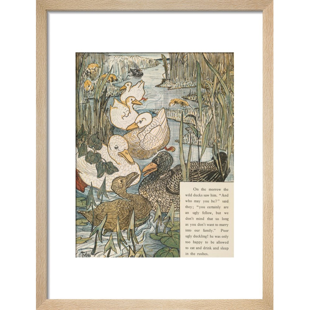 The Ugly Duckling print in natural frame
