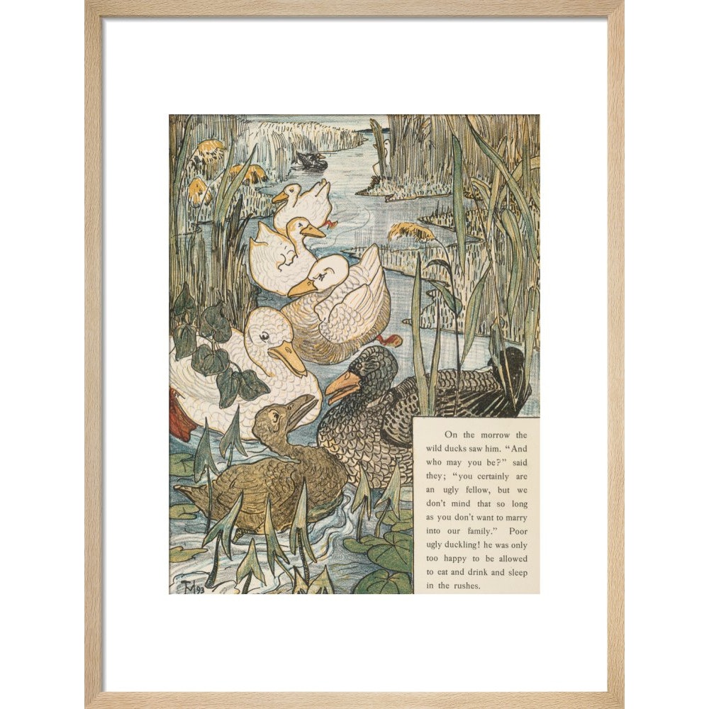 The Ugly Duckling print in natural frame