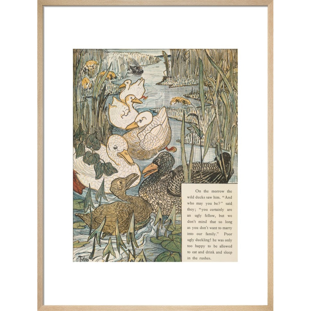 The Ugly Duckling print in natural frame