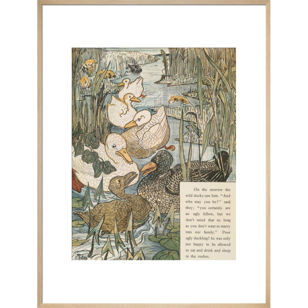 The Ugly Duckling print in natural frame