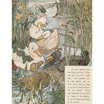 The Ugly Duckling print