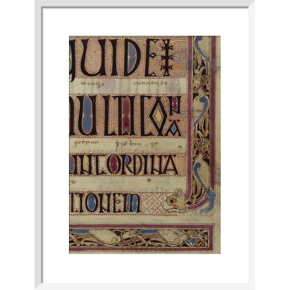Detail of a cat, from a page of the Lindisfarne Gospels print in white frame