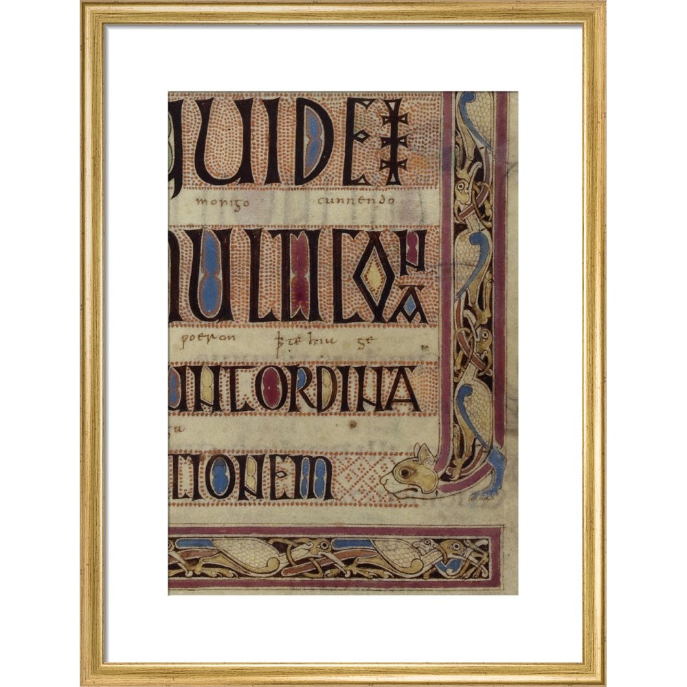 Detail of a cat, from a page of the Lindisfarne Gospels print in gold frame