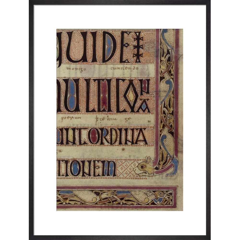 Detail of a cat, from a page of the Lindisfarne Gospels print in black frame