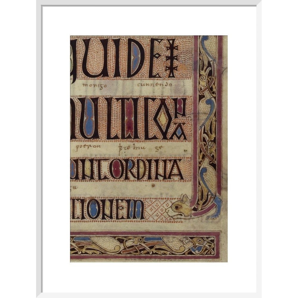 Detail of a cat, from a page of the Lindisfarne Gospels print in white frame