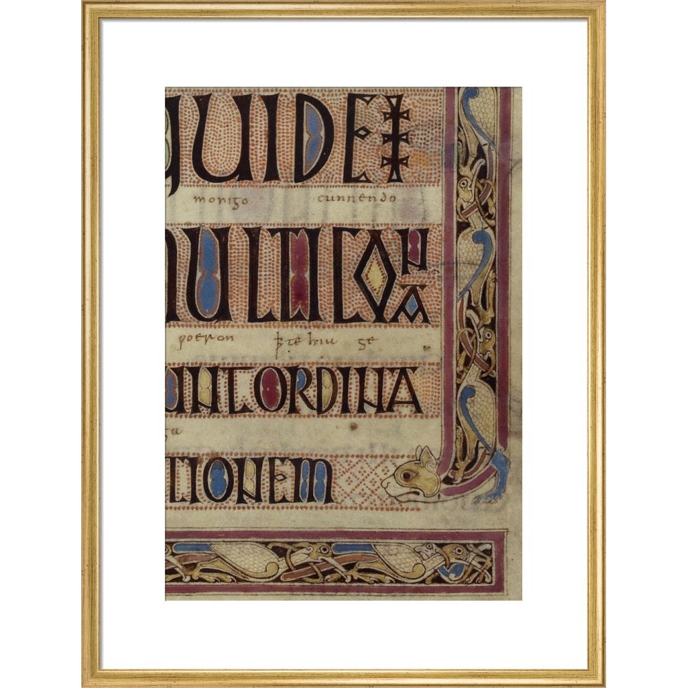 Detail of a cat, from a page of the Lindisfarne Gospels print in gold frame