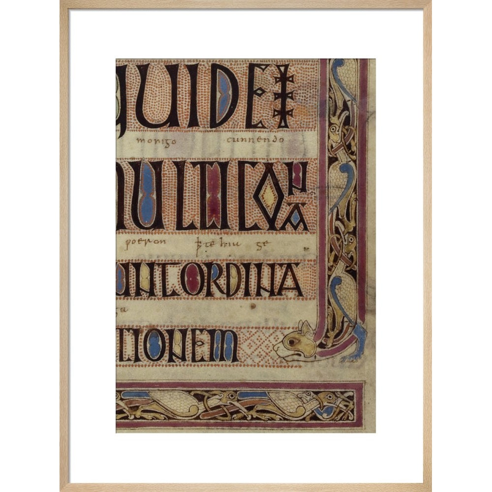 Detail of a cat, from a page of the Lindisfarne Gospels print in natural frame