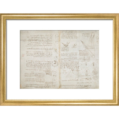 Notebook of Leonardo da Vinci (Sun and Moon) print in gold frame