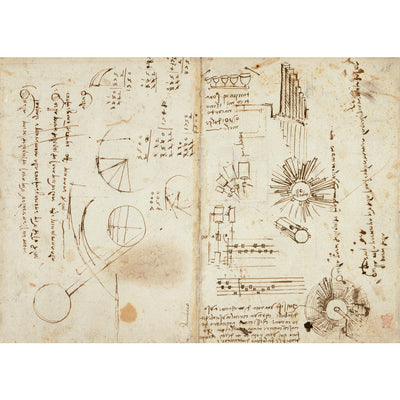 Notebook of Leonardo da Vinci print