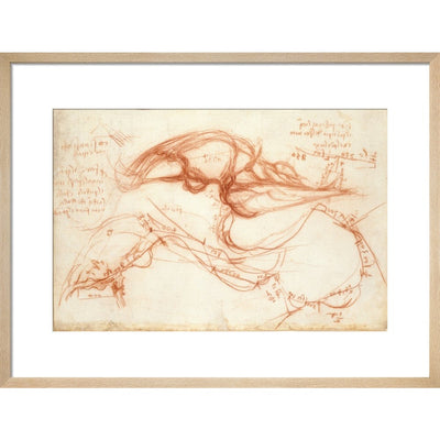 Notebook of Leonardo da Vinci (The River Arno) print in natural frame