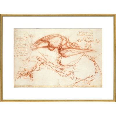 Notebook of Leonardo da Vinci (The River Arno) print in gold frame