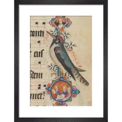 Woodpecker detail from the Sherborne Missal print in black frame