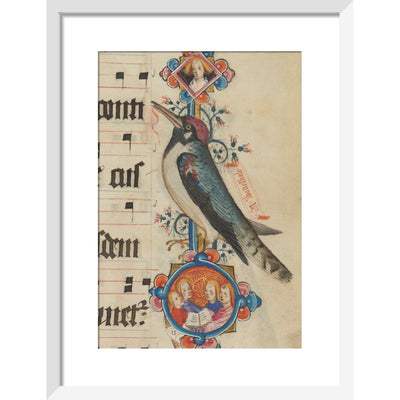 Woodpecker detail from the Sherborne Missal print in white frame