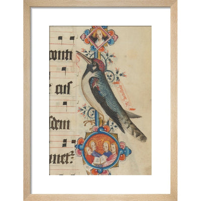 Woodpecker detail from the Sherborne Missal print in natural frame