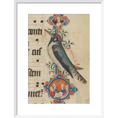 Woodpecker detail from the Sherborne Missal print in white frame
