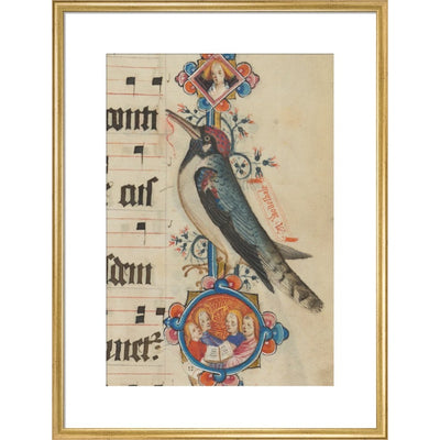 Woodpecker detail from the Sherborne Missal print in gold frame