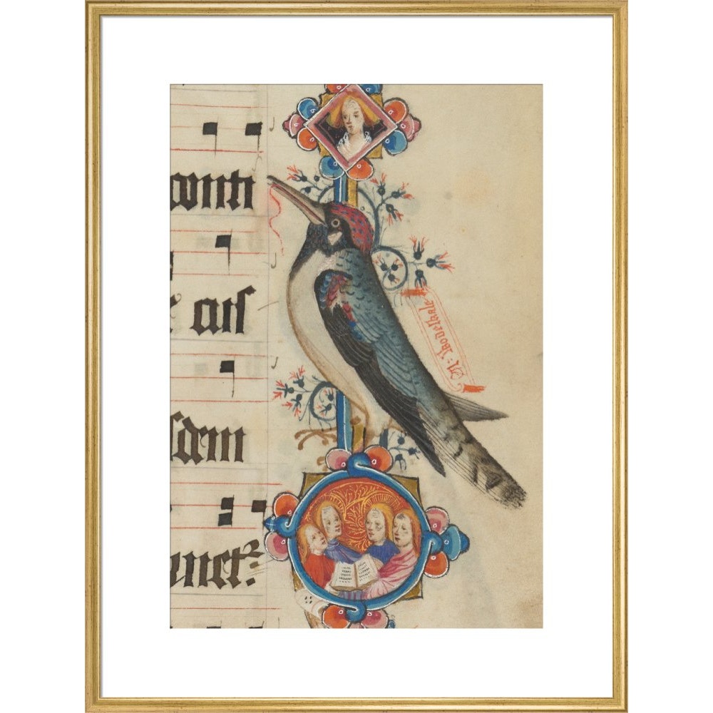 Woodpecker detail from the Sherborne Missal print